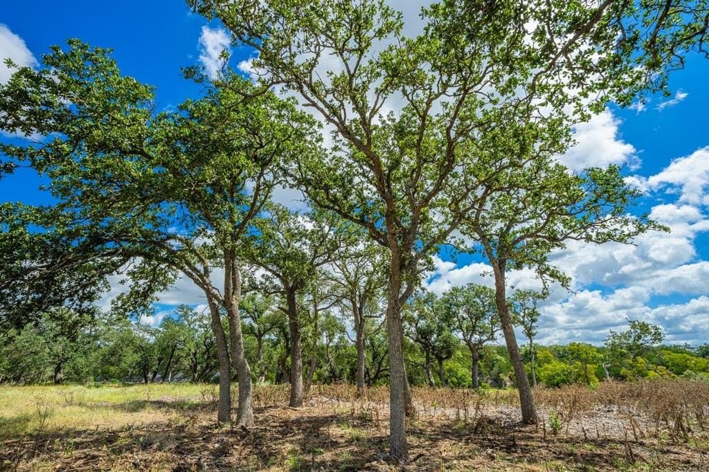 17 acres in Gillespie County - photo 14
