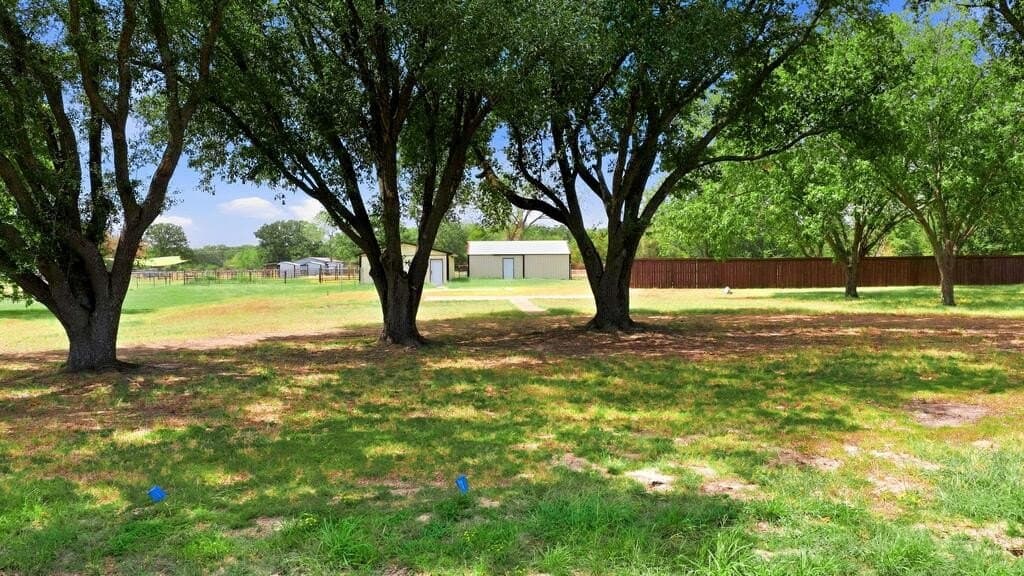 3 acres in Henderson County - photo 12