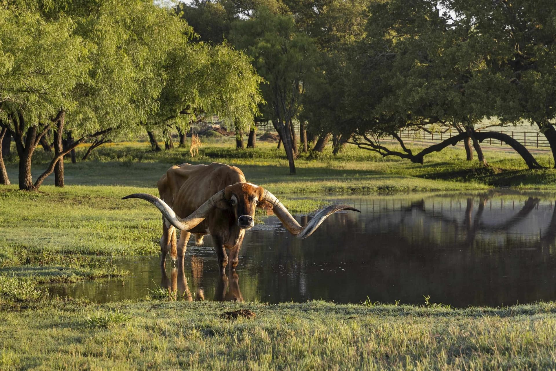 225 acres in Burnet County - photo 40