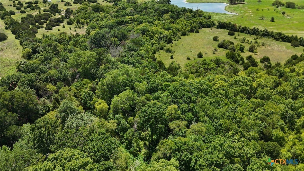 29.85 acres in McLennan County gallery image 4