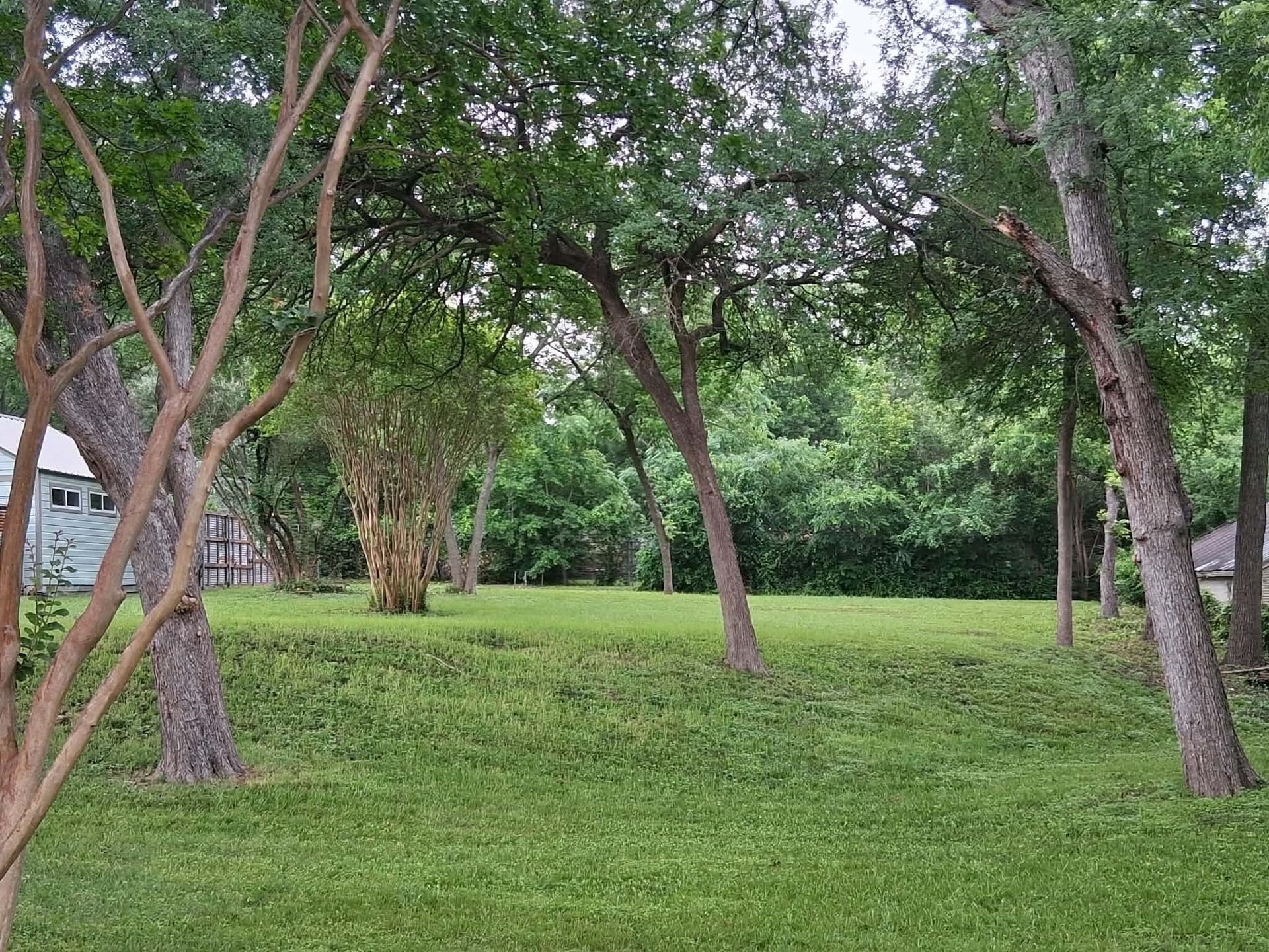 0.32 acres in Dallas County gallery image 3