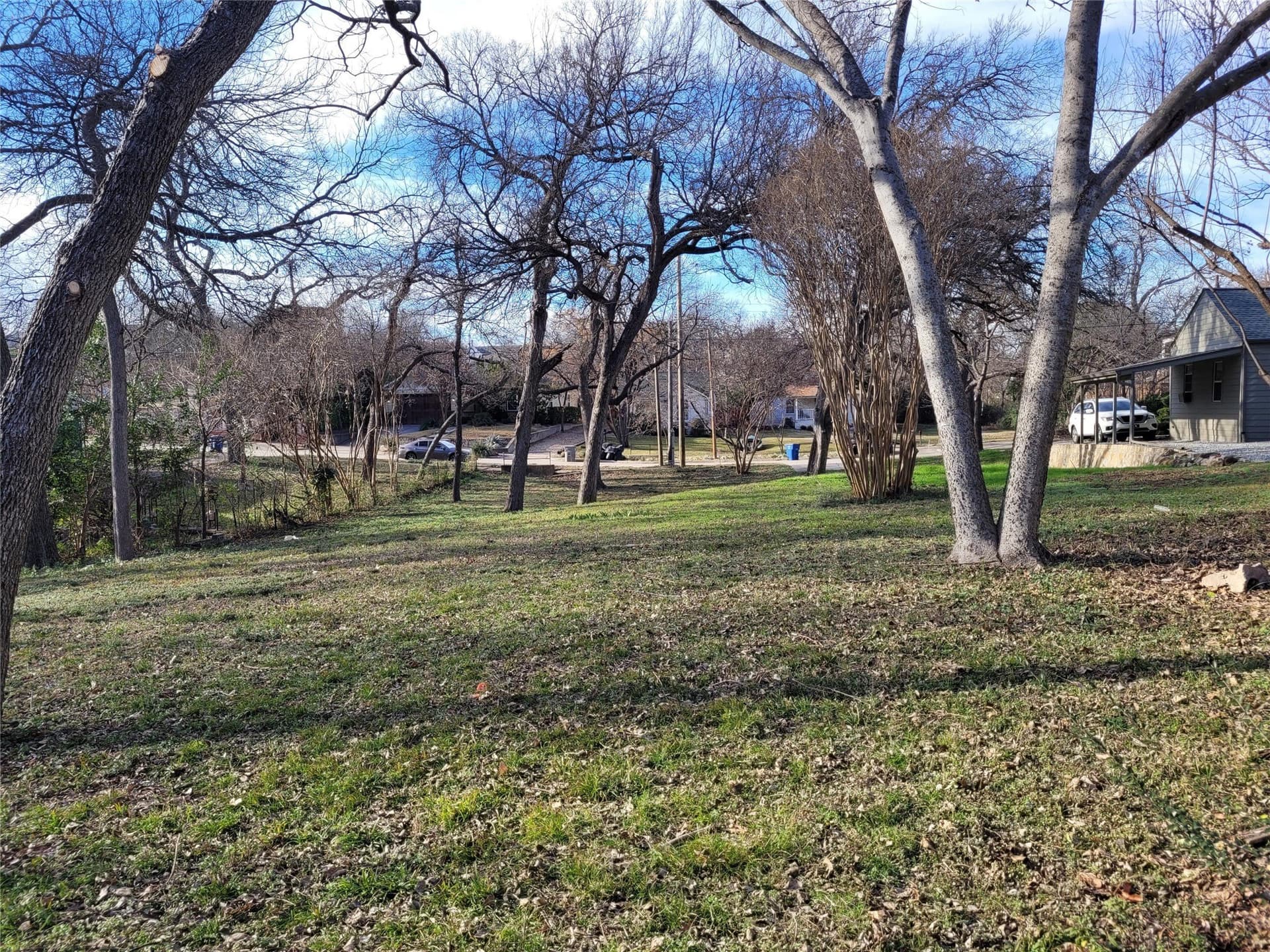 0.32 acres in Dallas County - photo 6