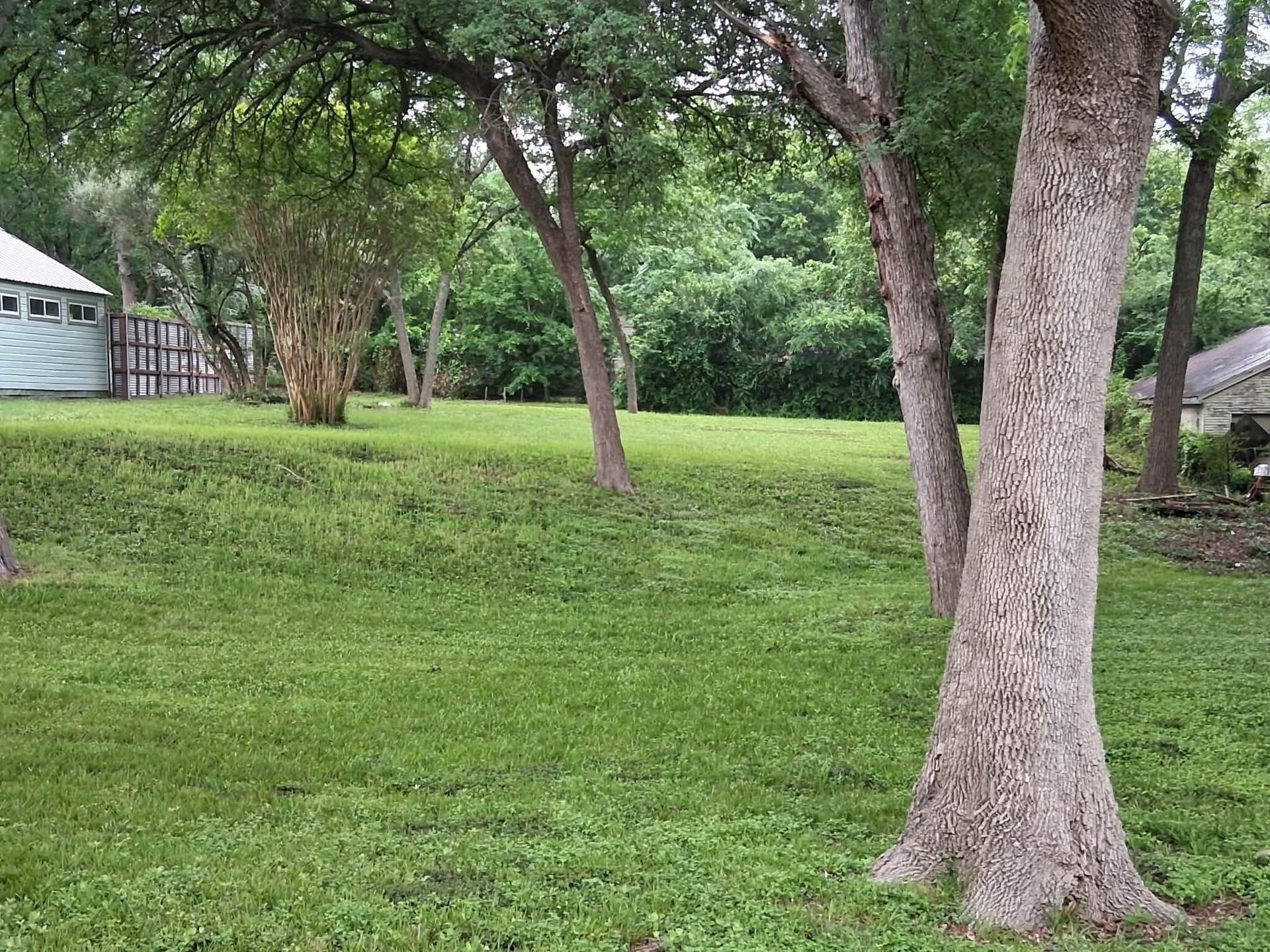 0.32 acres in Dallas County gallery image 2
