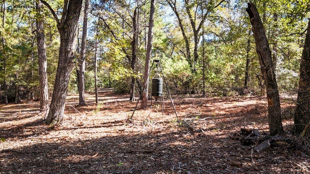 11.9 acres in Texas County - photo 10
