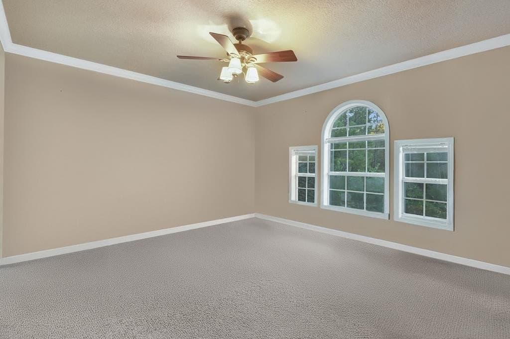 11.9 acres in Texas County - photo 29