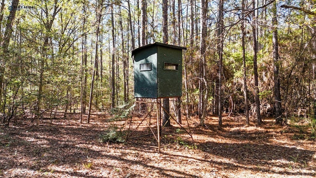 11.9 acres in Texas County - photo 9