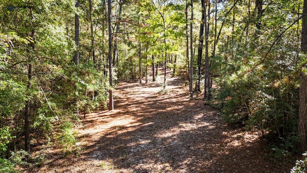 11.9 acres in Texas County - photo 8