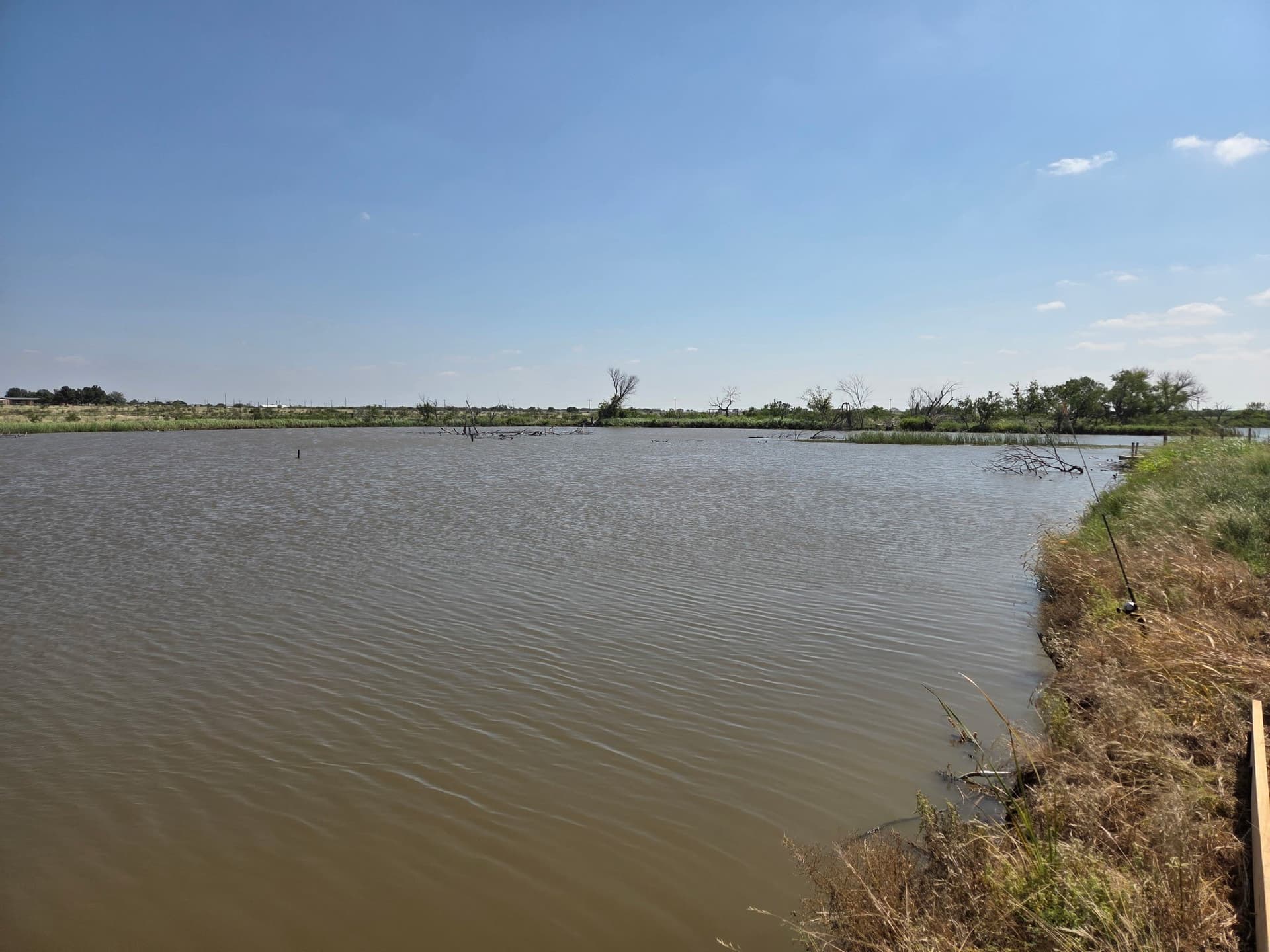 12.42 acres in Taylor County - photo 2