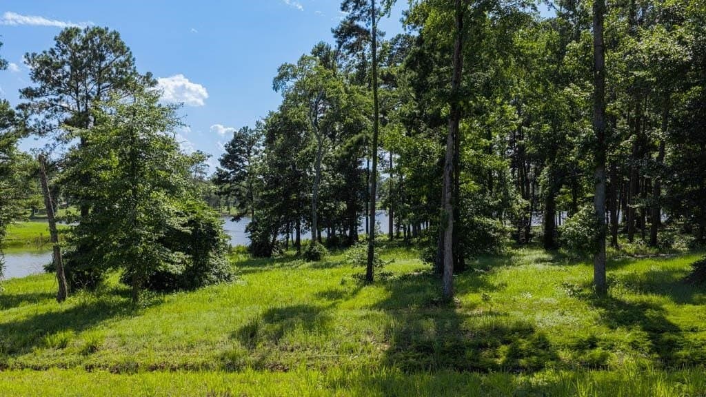 1.01 acres in Harrison County - photo 2