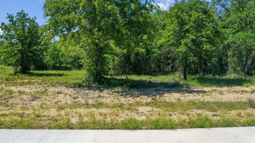 2.05 acres in Parker County gallery image 4