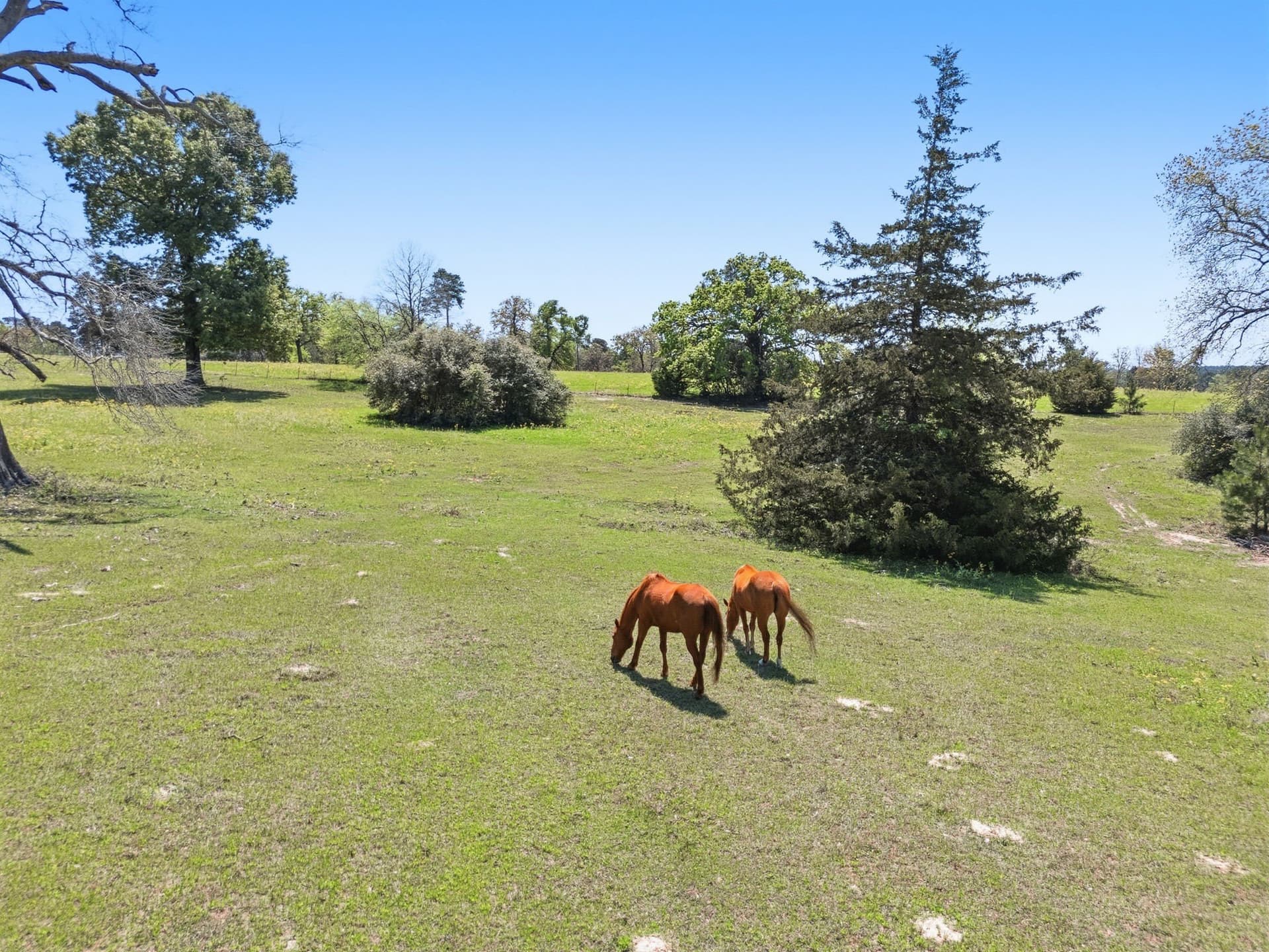 94.93 acres in Houston County - photo 2
