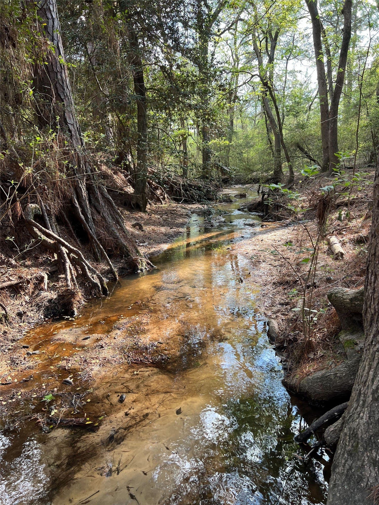 94.93 acres in Houston County - photo 40