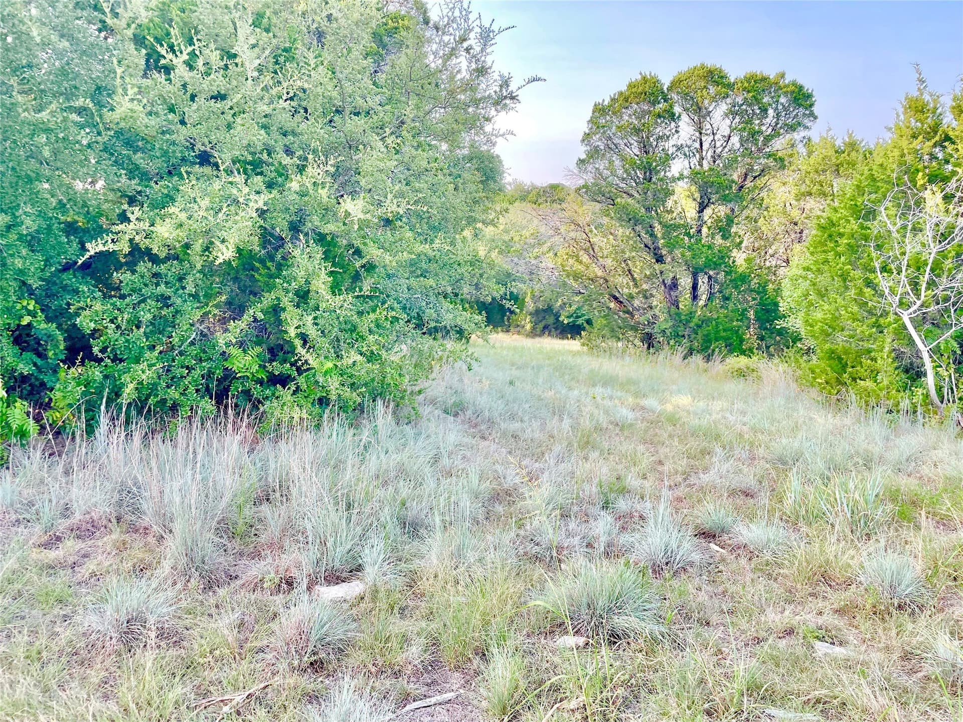 0.58 acres in Johnson County - photo 13