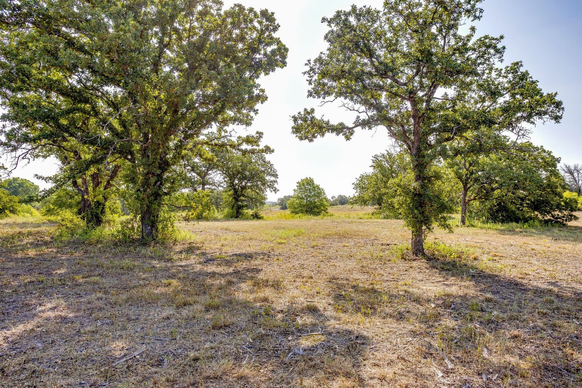 20.02 acres in Hood County - photo 21