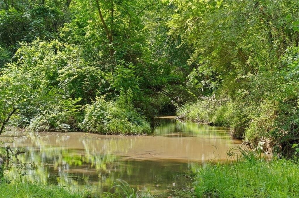 291.49 acres in Bastrop County - photo 35