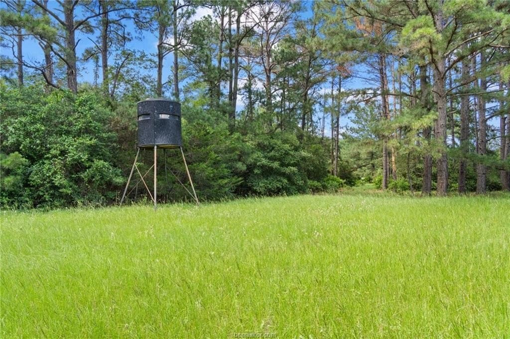 291.49 acres in Bastrop County