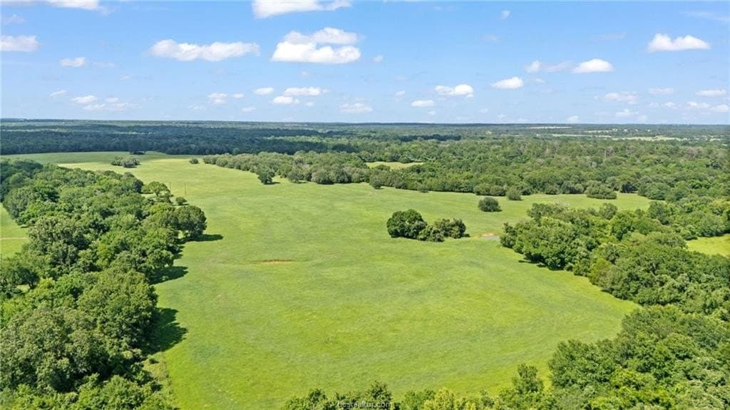 291.49 acres in Bastrop County - photo 33