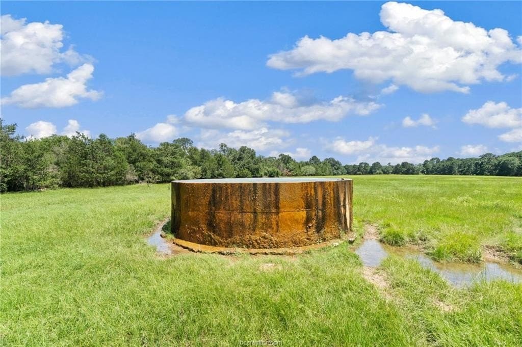 291.49 acres in Bastrop County - photo 30