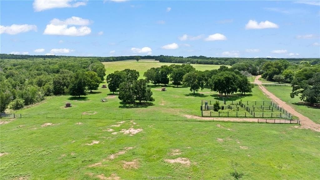 291.49 acres in Bastrop County - photo 14