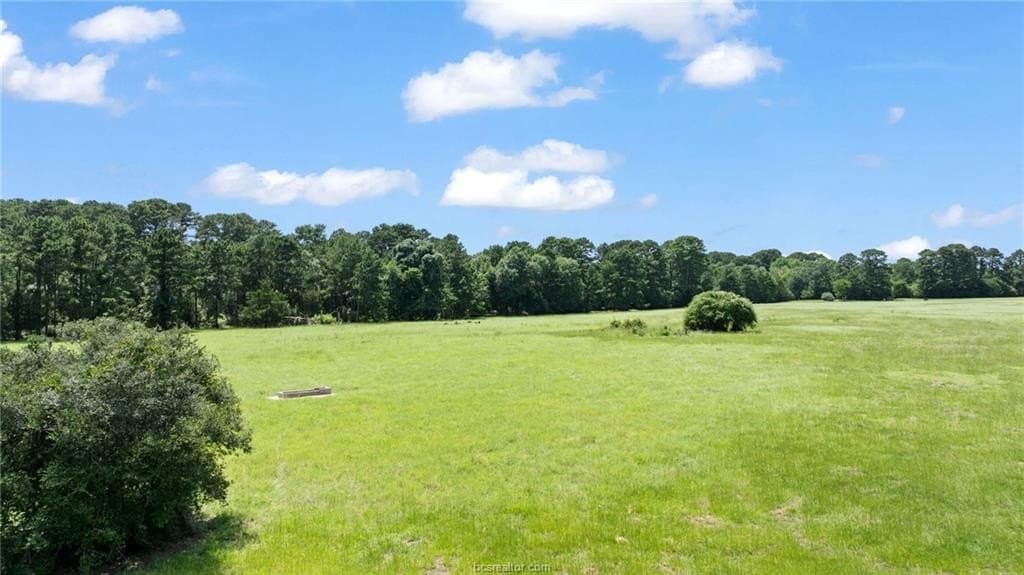 291.49 acres in Bastrop County - photo 6