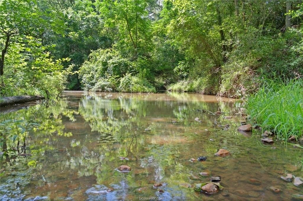 291.49 acres in Bastrop County - photo 20