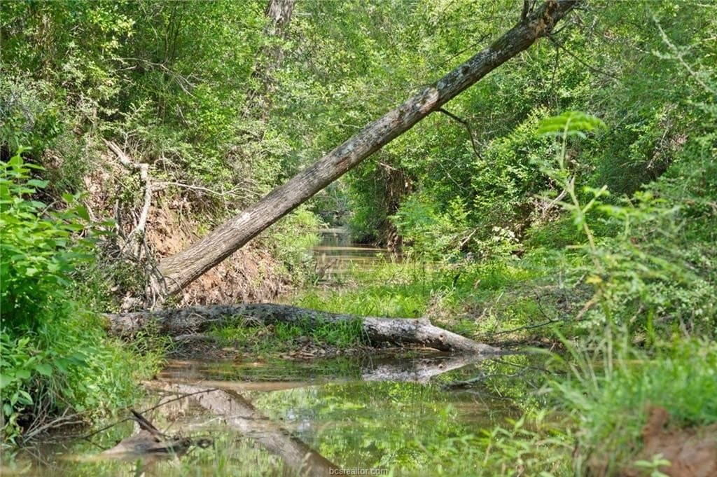291.49 acres in Bastrop County - photo 36