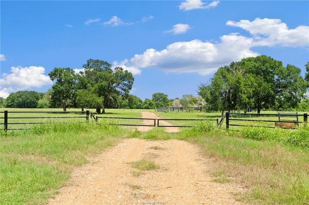 291.49 acres in Bastrop County - photo 10