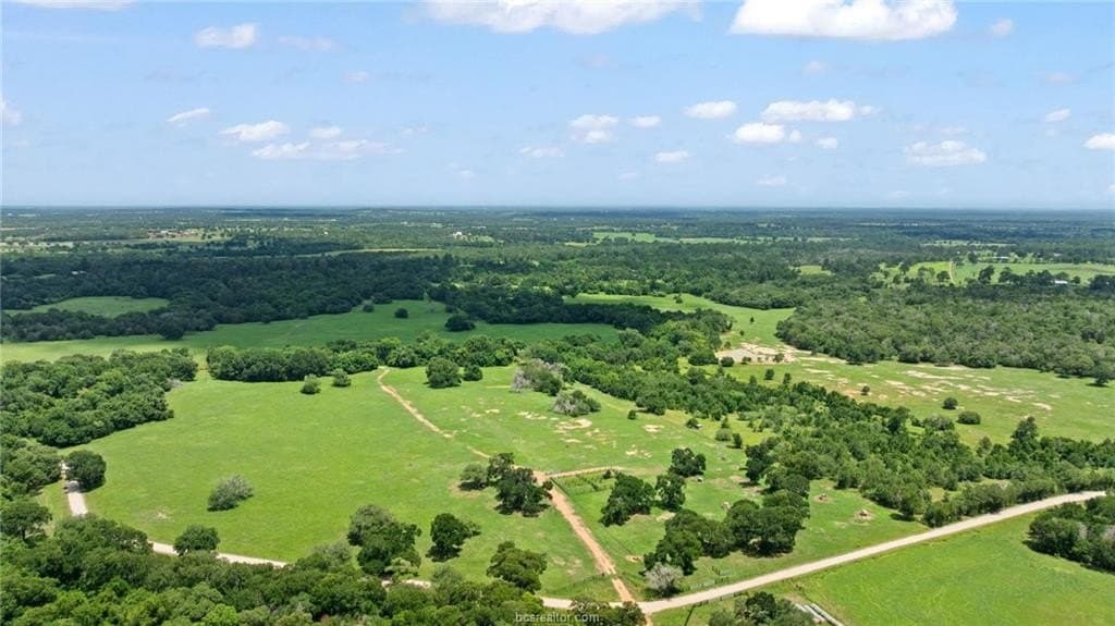 291.49 acres in Bastrop County - photo 9