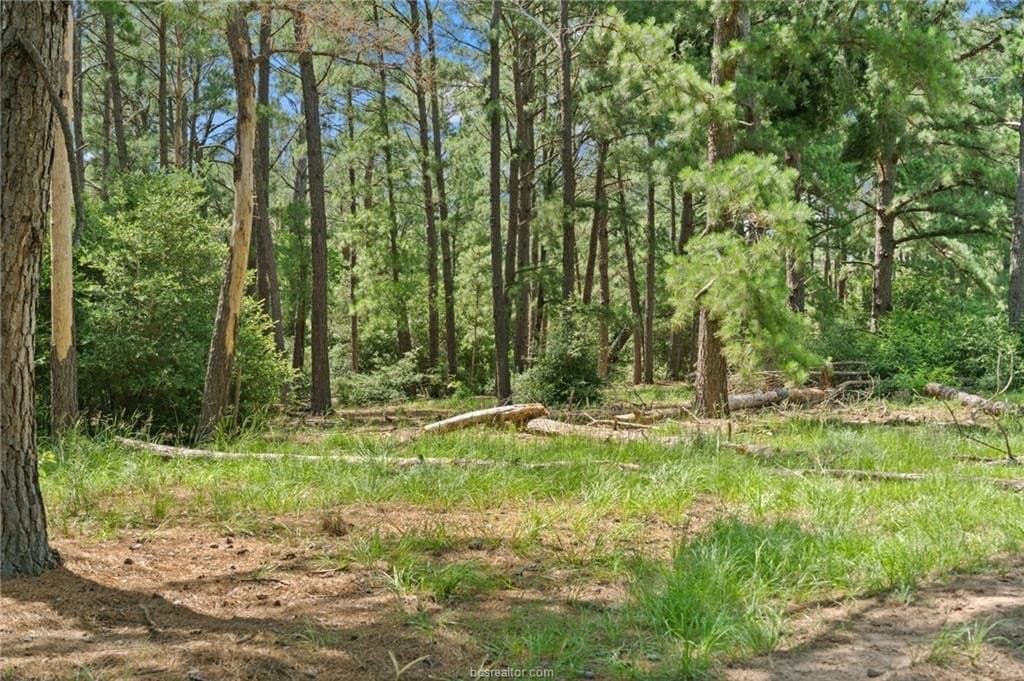 291.49 acres in Bastrop County - photo 24