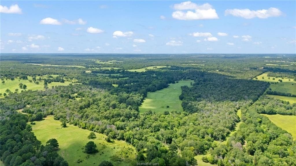 291.49 acres in Bastrop County - photo 38