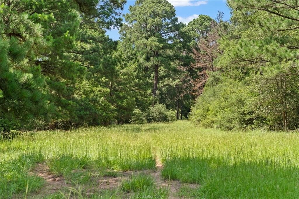 291.49 acres in Bastrop County - photo 23