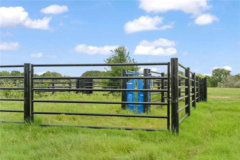291.49 acres in Bastrop County - photo 12