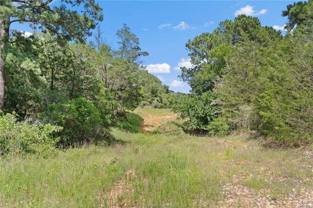 291.49 acres in Bastrop County - photo 34