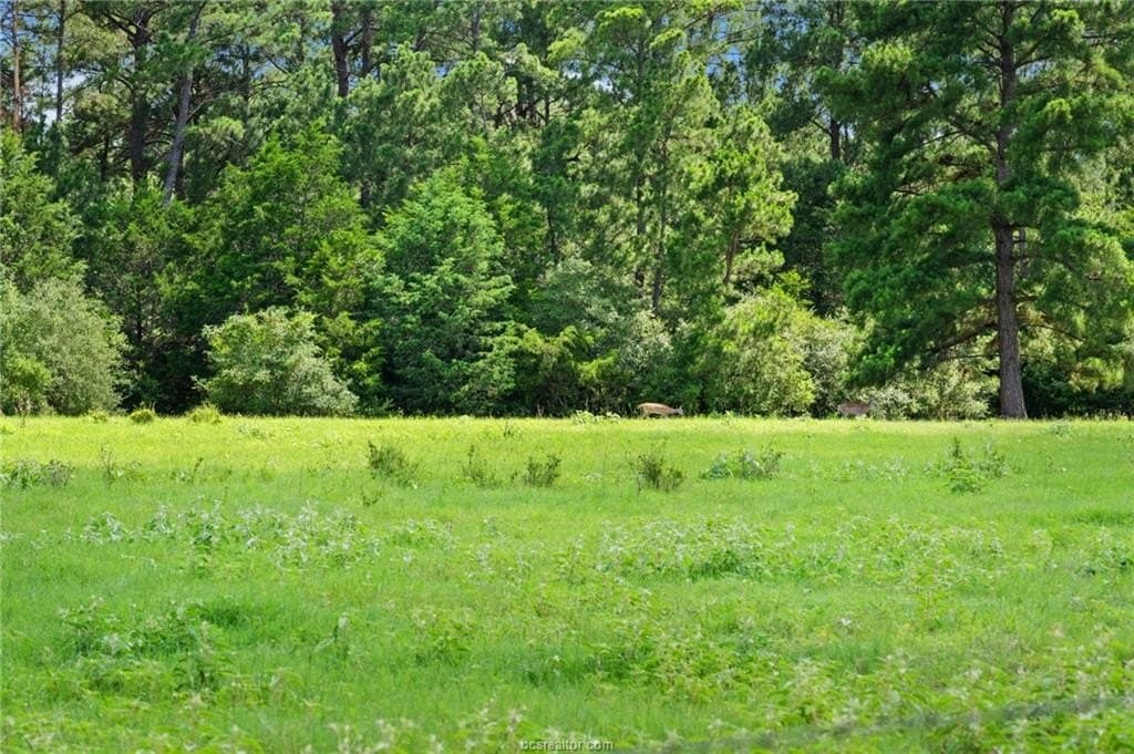 291.49 acres in Bastrop County - photo 41