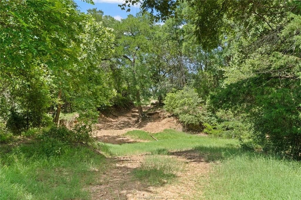 291.49 acres in Bastrop County - photo 15