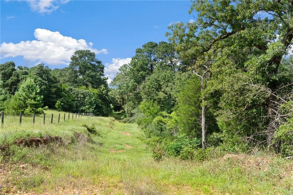 291.49 acres in Bastrop County - photo 37