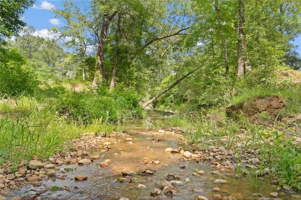 291.49 acres in Bastrop County gallery image 3