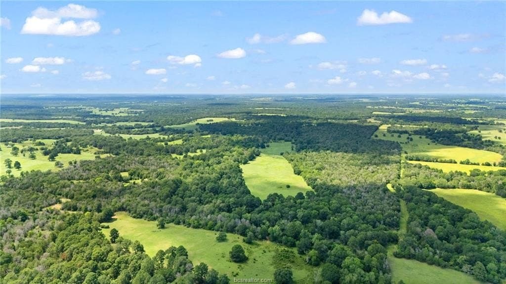 291.49 acres in Bastrop County - photo 8