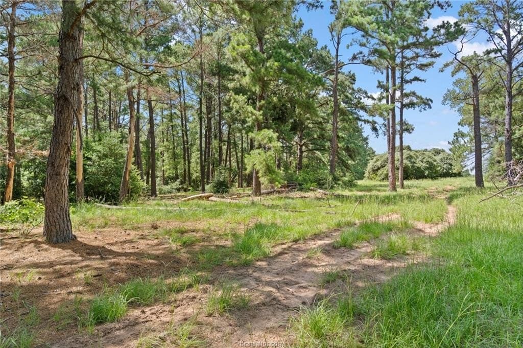 291.49 acres in Bastrop County featured view