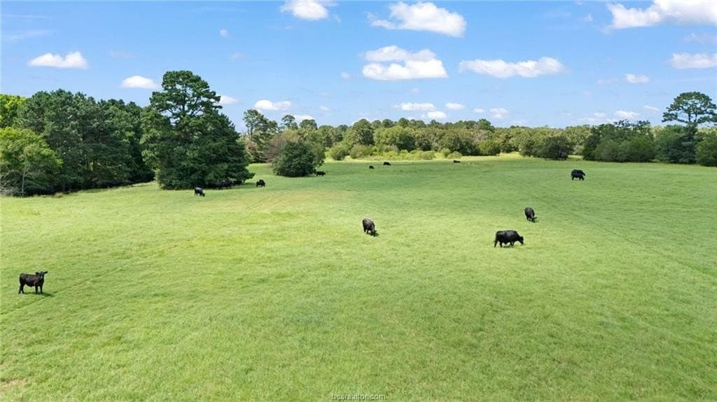 291.49 acres in Bastrop County - photo 32