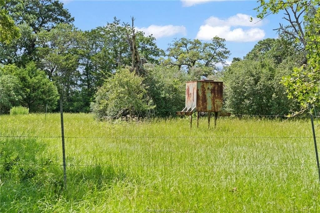 291.49 acres in Bastrop County - photo 25