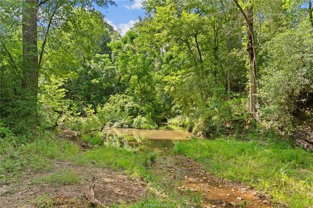 291.49 acres in Bastrop County gallery image 4
