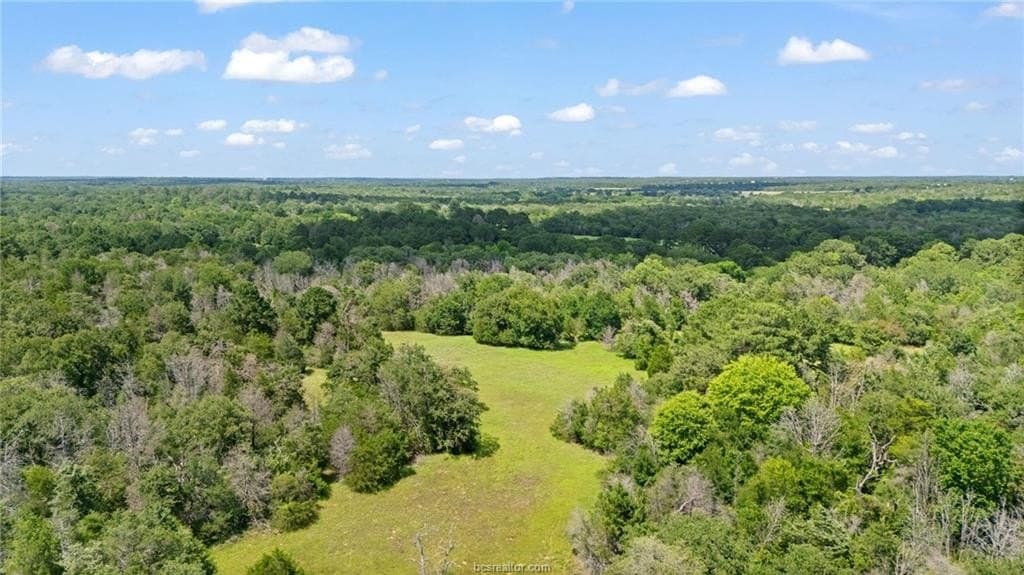 291.49 acres in Bastrop County - photo 19
