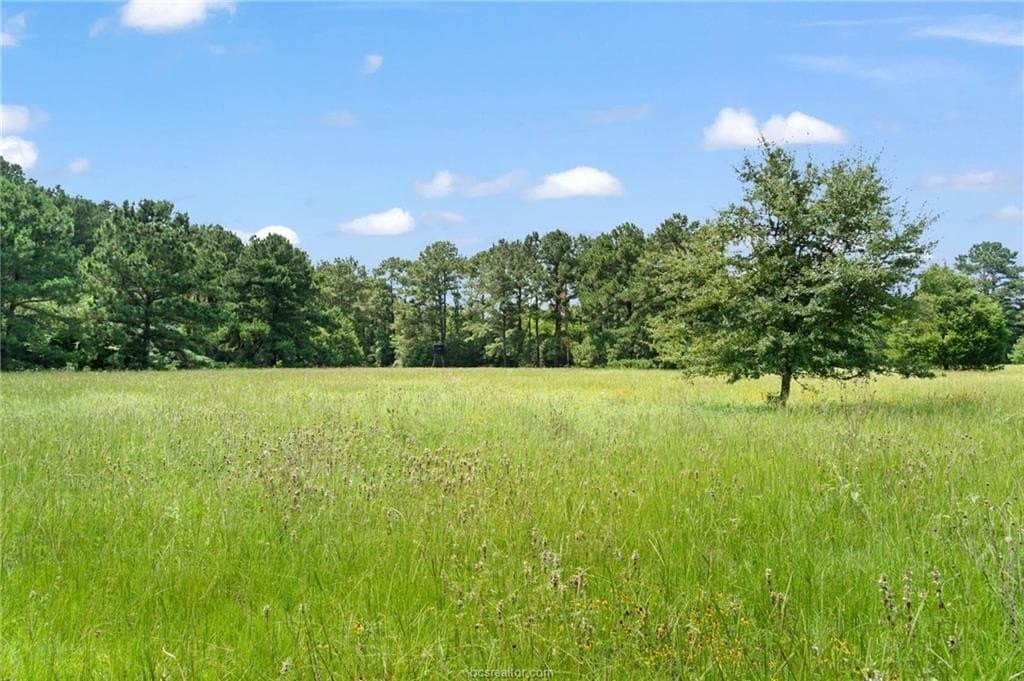 291.49 acres in Bastrop County - photo 18