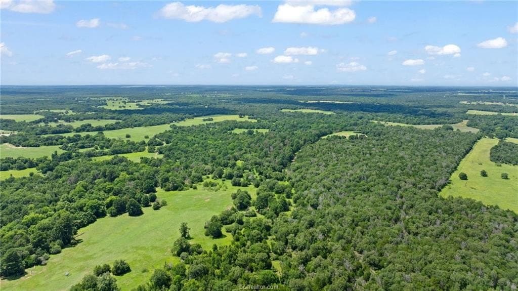 291.49 acres in Bastrop County - photo 42