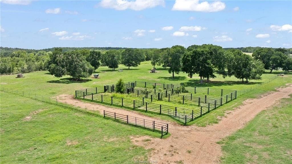 291.49 acres in Bastrop County - photo 11