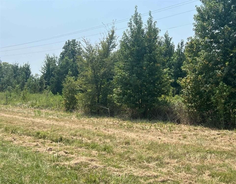 1.2 acres in Titus County gallery image 2