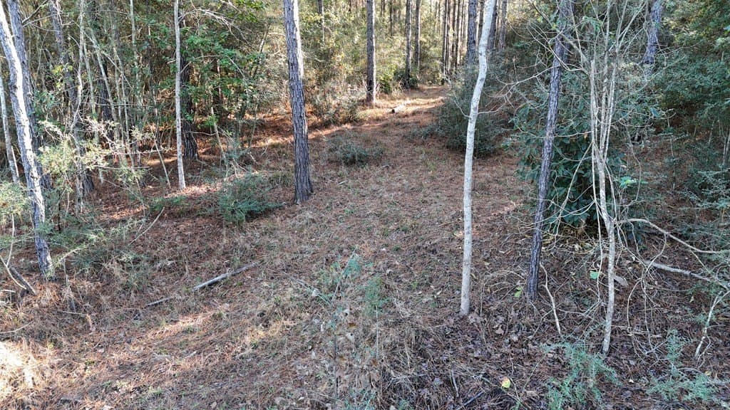 9.37 acres in Texas County - photo 7