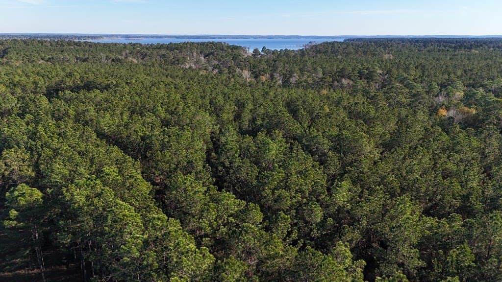 9.37 acres in Texas County - photo 4