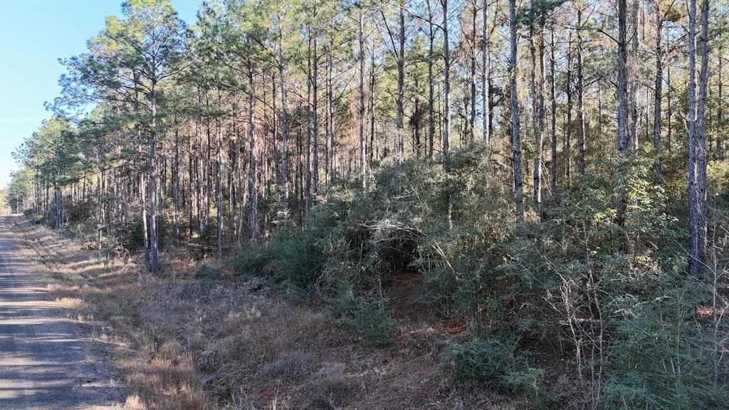 9.37 acres in Texas County - photo 8